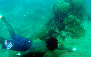 Fernando Snorkeling House Cahuita Costa Rica